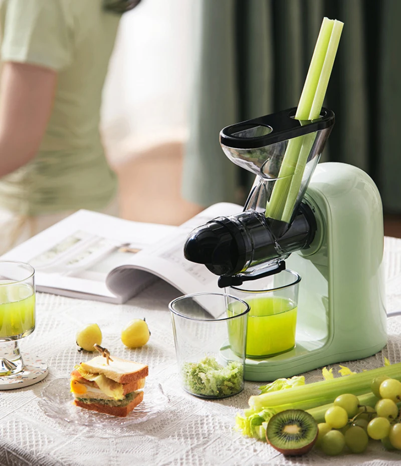 Qwinn 220V Electric Slow Juicer Fruit Vegetable Screw Cold Press Extractor Automatic Squeezer Citrus Juicer Multifunctional Blen