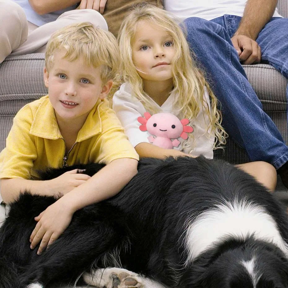 

2025.Cute Kawaii Axolotl Plush Toy, Axolotl Plush Animals, Plush Doll, Baby Toys, Room Decoration, Kids' Gift