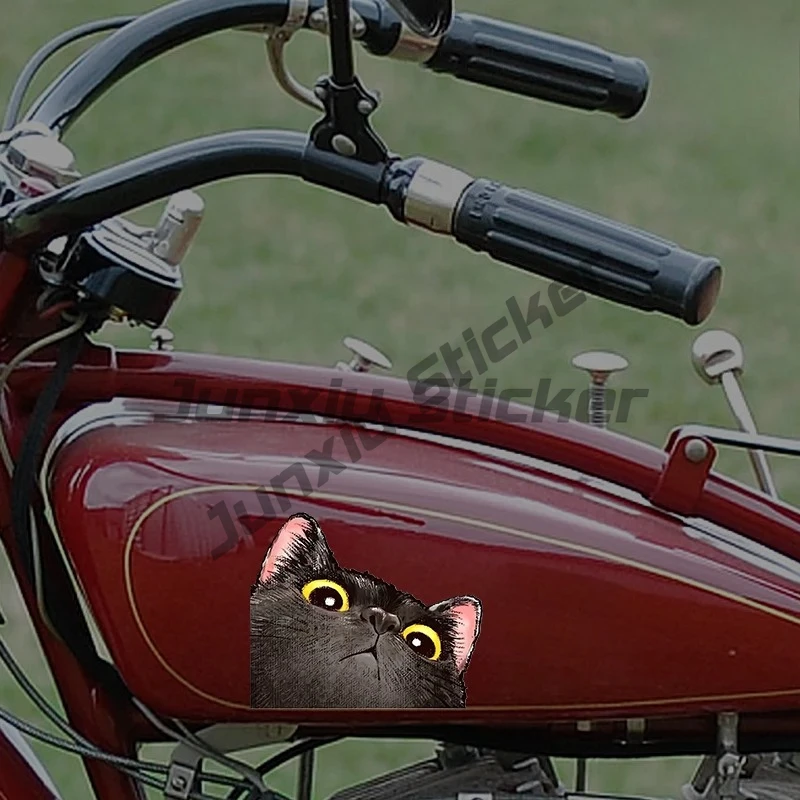 Probe Cat Creative Expression Car Stickers Electric Motorcycle Body Triangle Window Luggage Laptop Stickers Fun Car Stickers