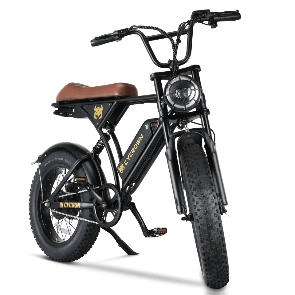  750W E Bike Fat Tire 20 Inch 32 Mile Range Dual Disc Brake LCD image 6