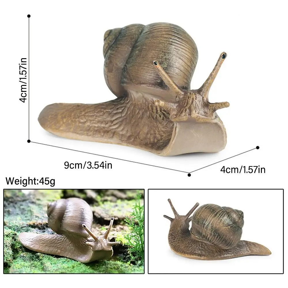 High Quality Micro Landscape Children's Cognitive Puzzle Science Snail Statue Garden Decoration Simulation Insect Snail Model