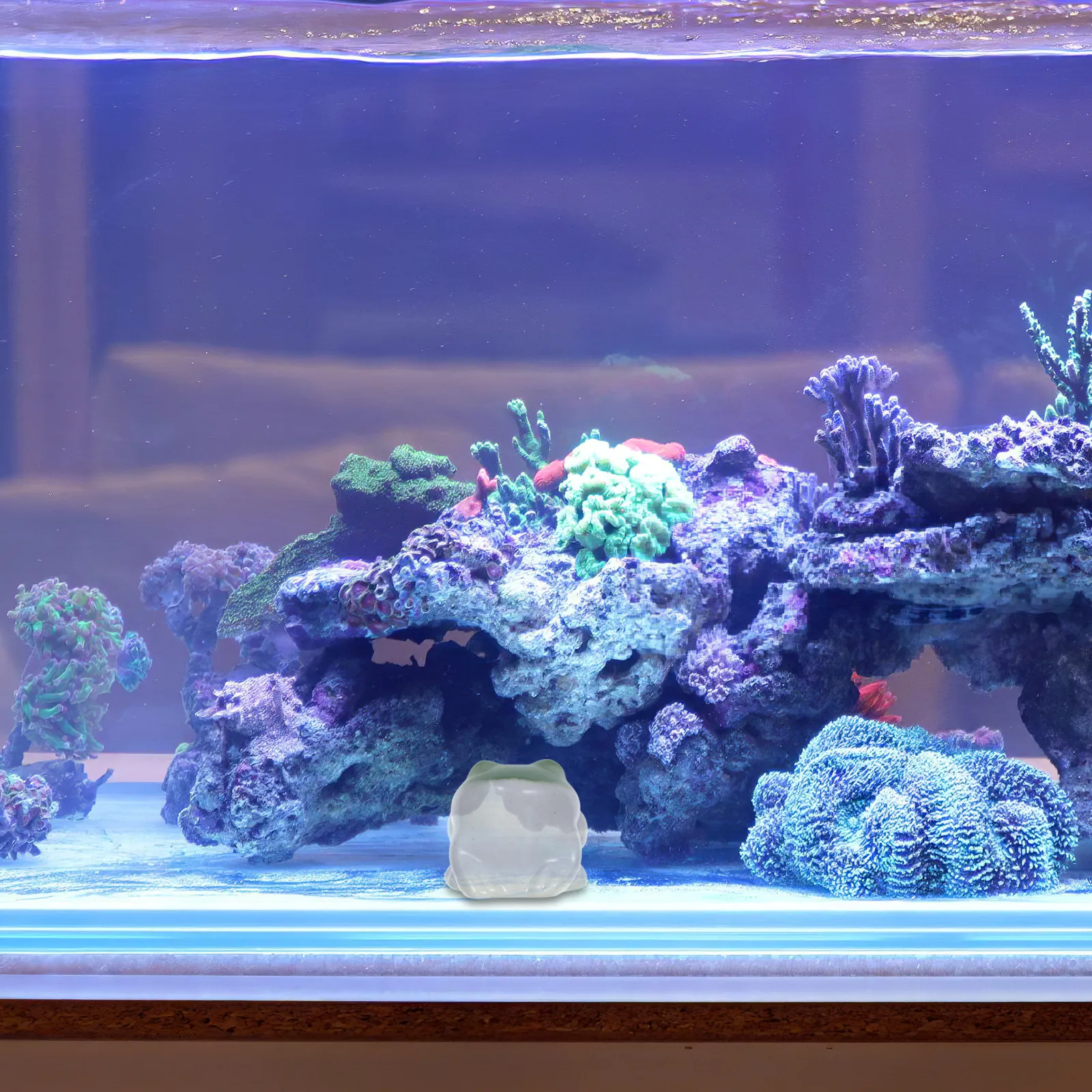 Rana de Cerámica Flotante Enca - Aquarium Fish Elevator reseña y precio