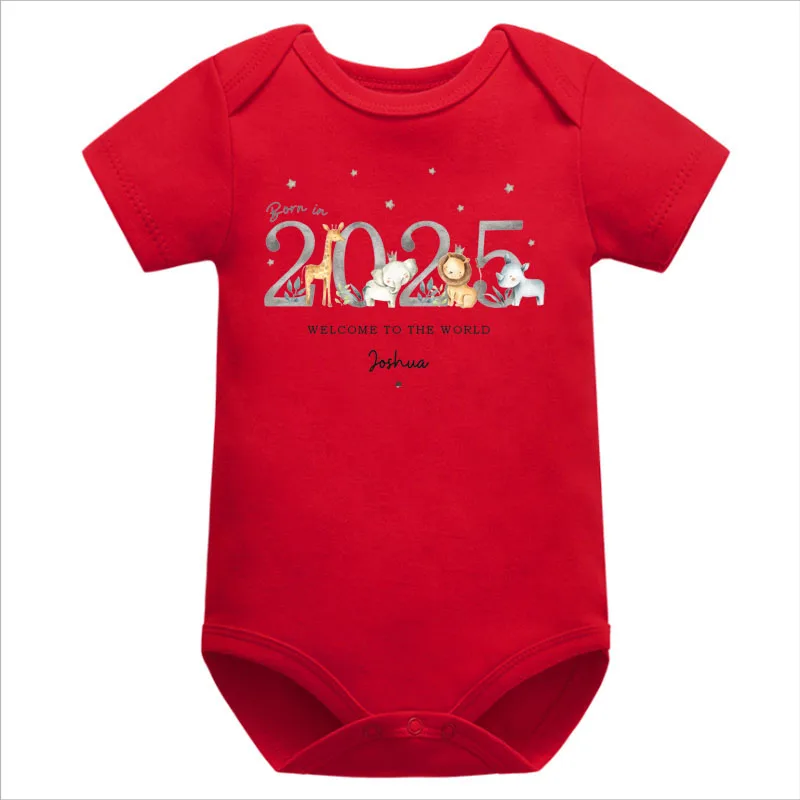 Personalized 2025 Newborn Baby Clothes Home Coming Bodysuit Newborn Arrival Best Baby Shower Gift Baby Girl