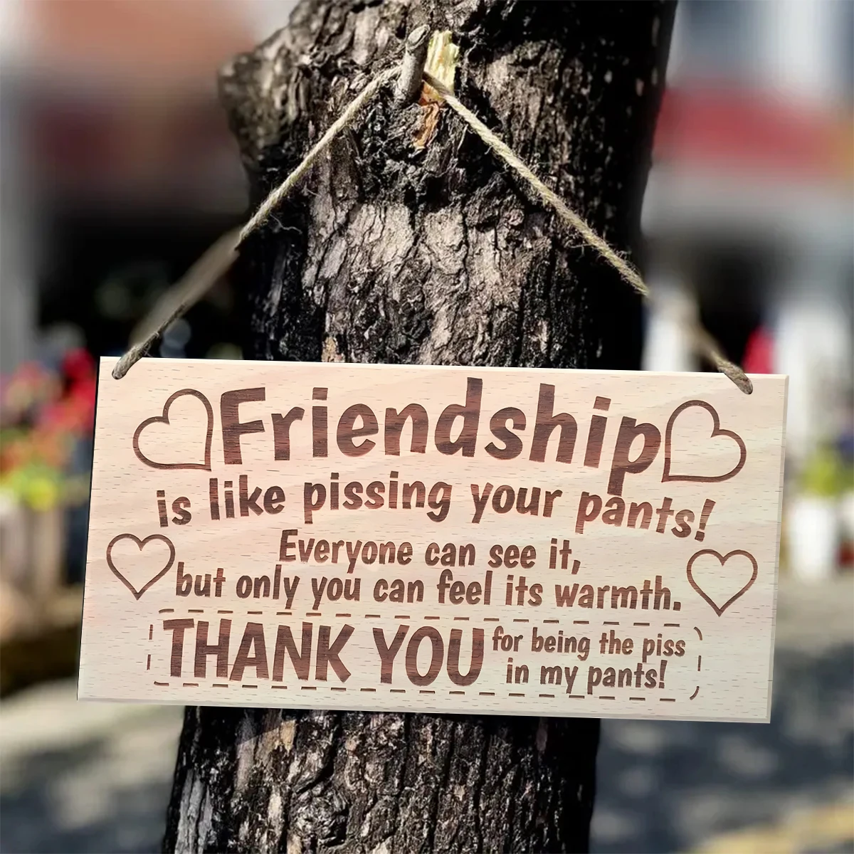 1PC Wooden Hanging Sign Plaque, Friendship Is Like Pissing Your Pants, Wooden Craft Personalized Home Decor For Gift To Friend