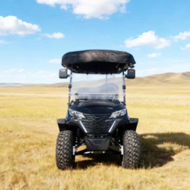 

Прямые продажи с фабрики, китайская тележка для гольфа, 4-местная электрическая экскурсионная тележка, электрическое кресло для гольфа, черная кожа с подголовником