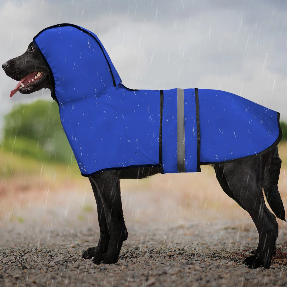 Thumbnail 4 - #1 Cheapest Pet Rain Jackets Deals You Can Get