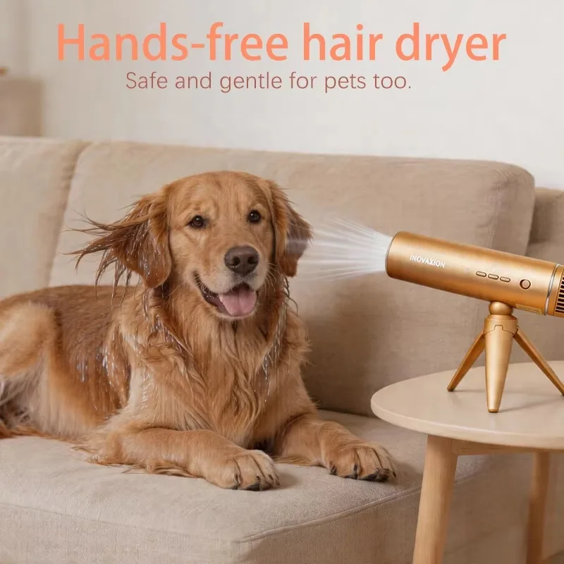 Pet hair dryer foldable high-speed hands-free modular design suitable for hotel use, direct sales