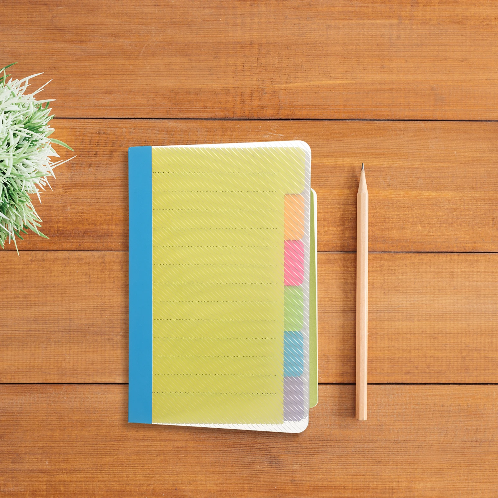 

Colored Pads 3 Books Mini Notebooks Small Memo Sticker Student Tearable Tabs Schedule Office School