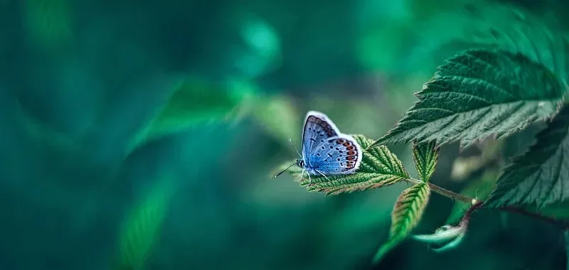 

Hot Racing Stainless Steel Motor Mount Washer plate for ARRMA 1:10 2WD Gorgon Monster Truck