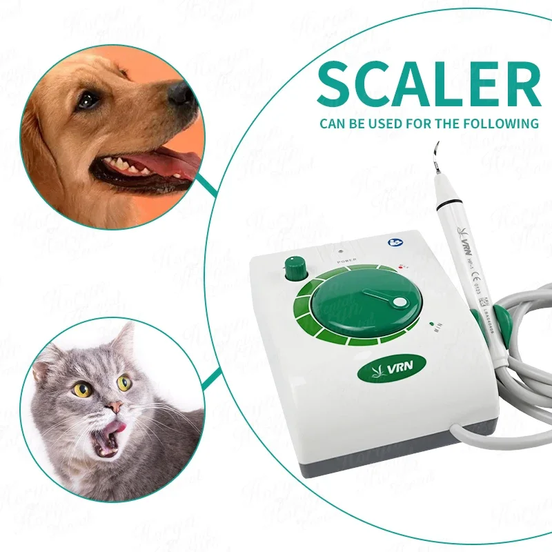 Dentals Instruments Electric Ultrasonics Sonic Tooth Scaler Teeth Cleaner Oral Hygiene for Dentists or Pets Home Appliances