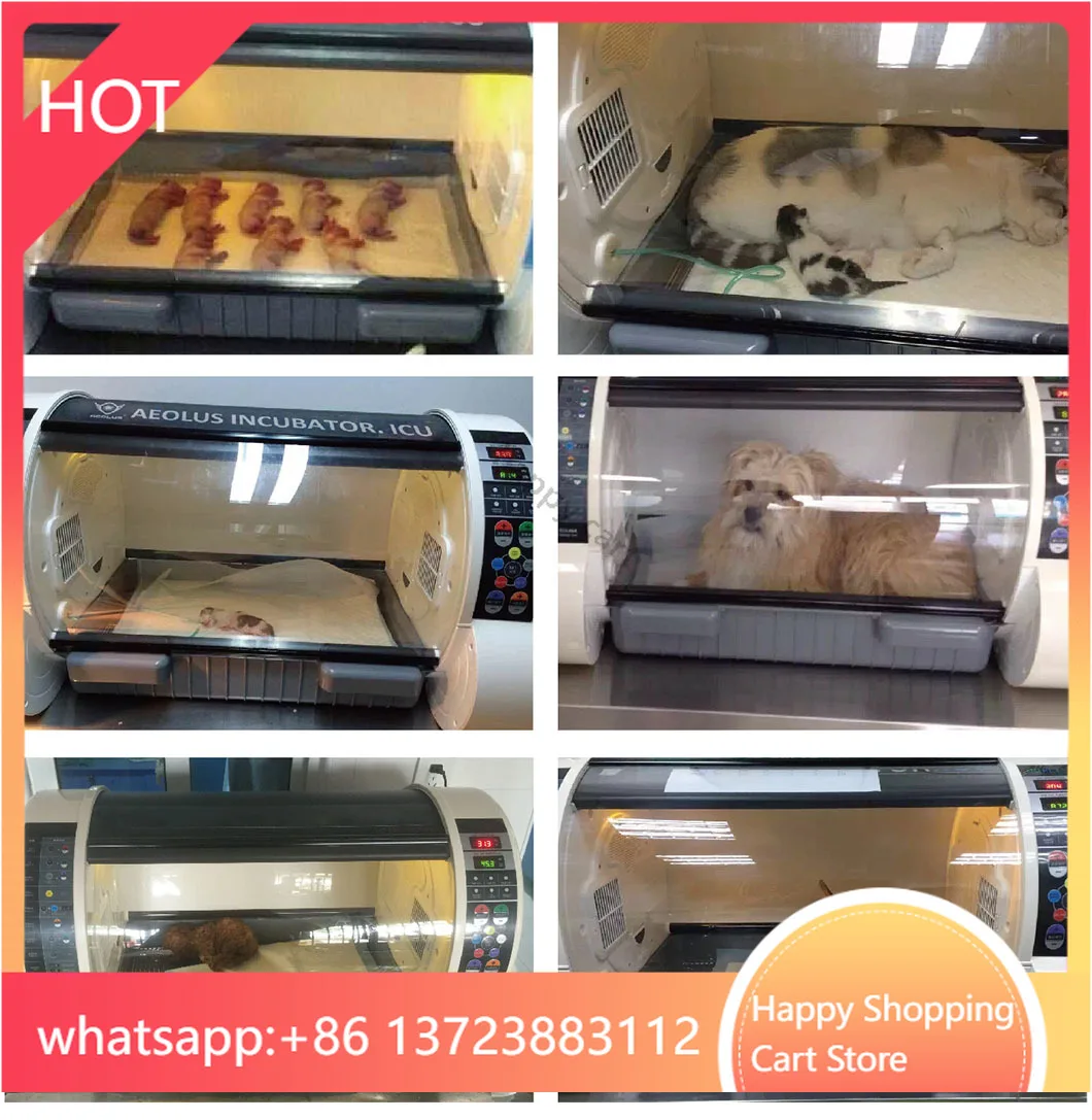 

In Stock Medical Veterinary Clinic Animal Use Cheapest Portable Pet Vet for Dog Cat Rabbit