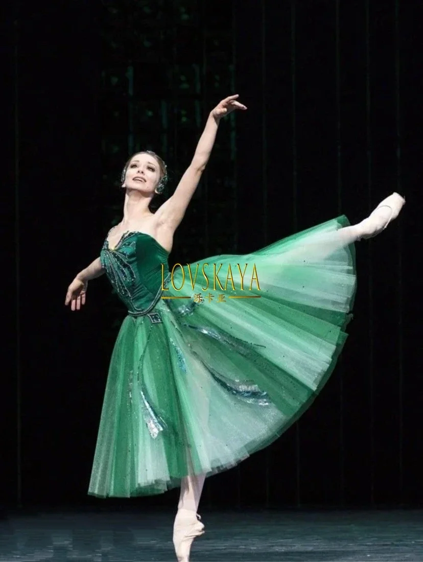 

Green Velet Long Dress Leotards For Women Children Ballet Skirt Swan Lake Performance Dress