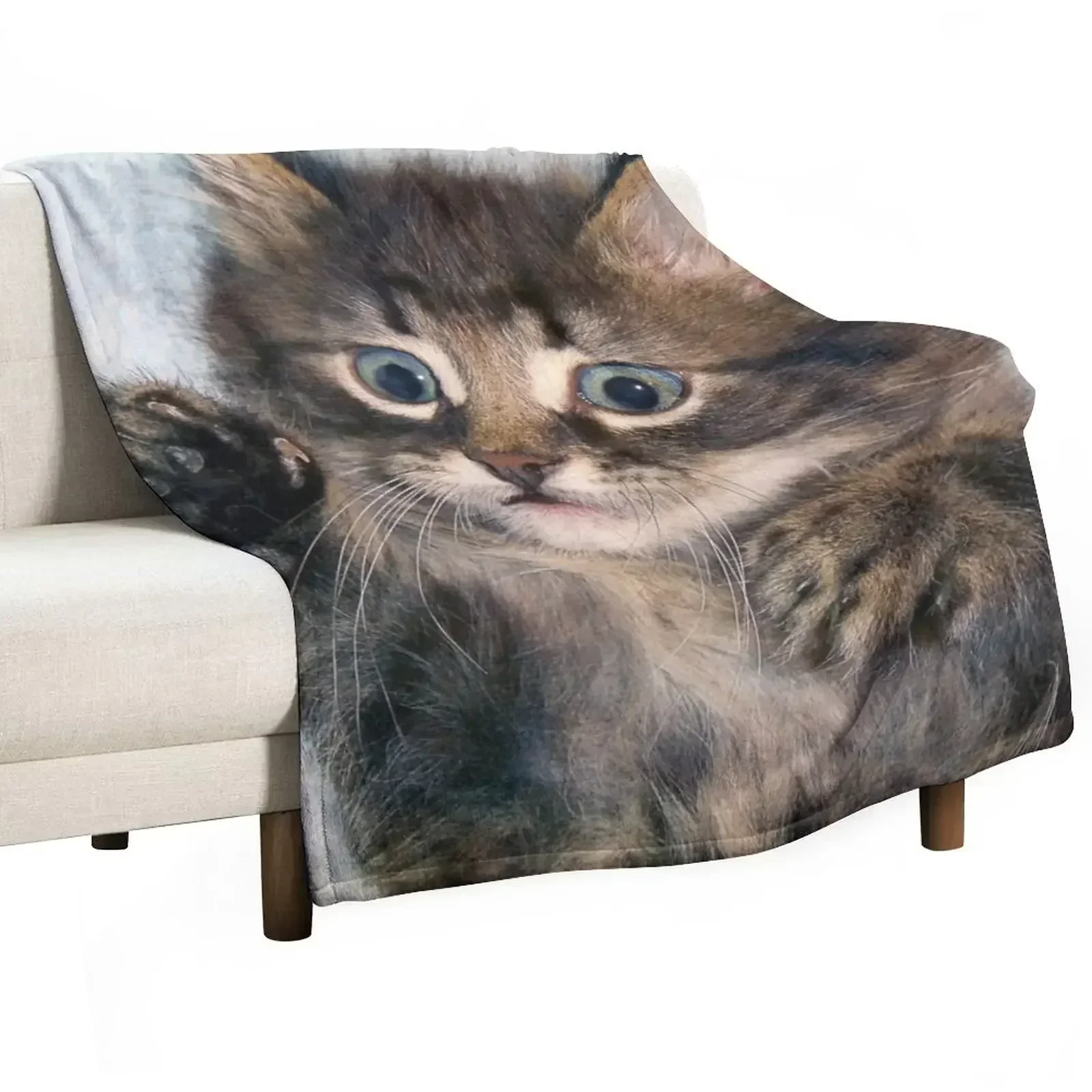 

Kitten Throw Blanket Soft Big for sofa Cute Blankets