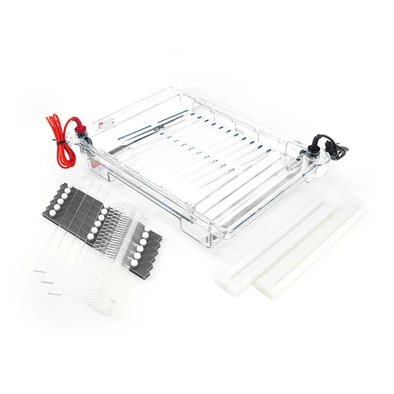 Appareil d'électrophorèse horizontale Agarose, grand système d'électrophorèse horizontale DYCP-32C pour préparer l'identification séparée de l'ADN
