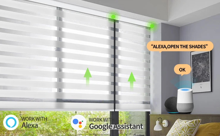 ZSTARR Modern PVC Polyester Pinhole Fabric Electric Motor Smart Built-in Blinds Shades Shutters Spring Zebra Blinds for Hotels