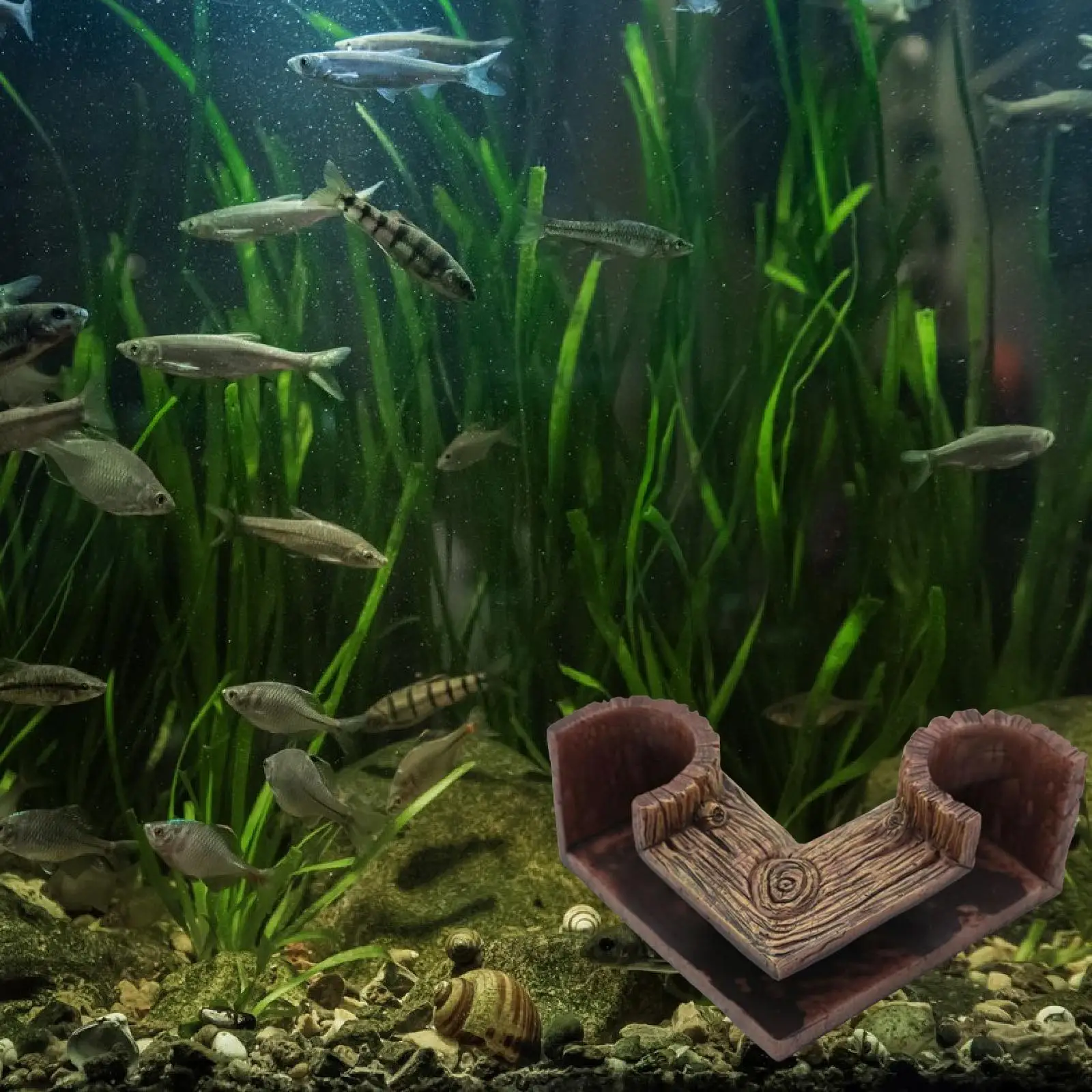 Aquarium Undergroun… - image