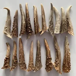 Real Deer Horn Tip DIY Pendant Necklace Carving Material Deer Horn Crafts Knife Handle Statues for Decoration Home Decor