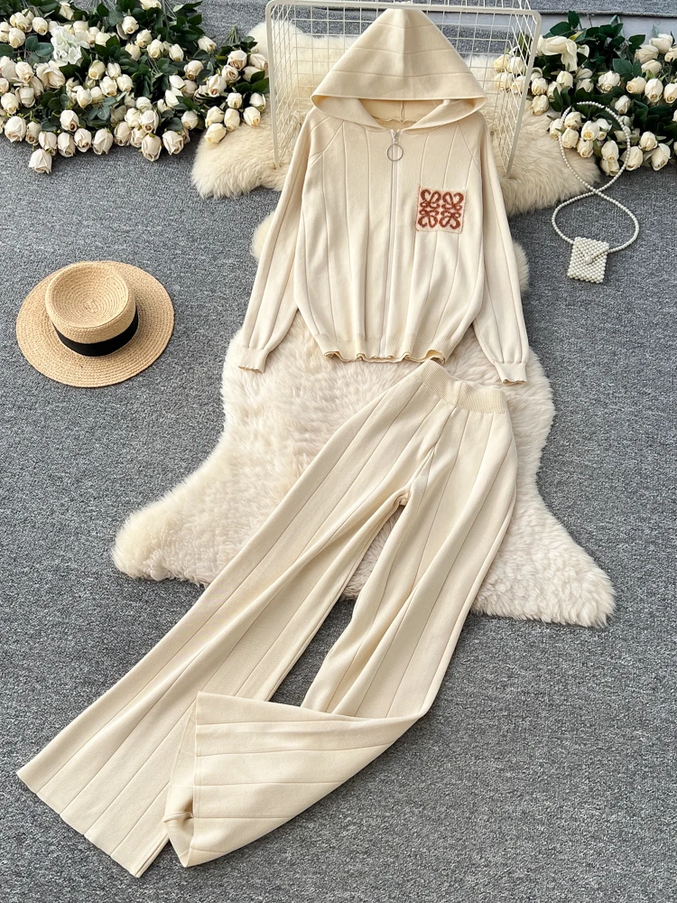 Coreano Sle Abbigliamento sportivo casual Set da due pezzi Donna Allentato Versatile Cerniera con cappuccio Lungo Sve Top lavorato a maglia Pantaloni a gamba larga