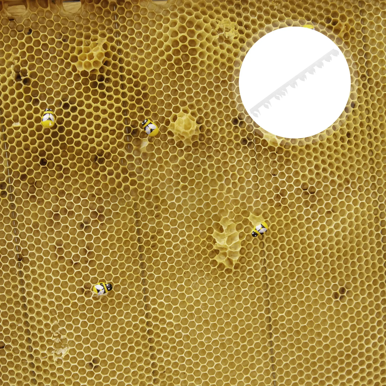 

10pcs Plastic Beehive Spacers Frame Ends Covers Strips Holders Beekeeping Tools Hive Supplies Durable Lightweight Bee Nurturing