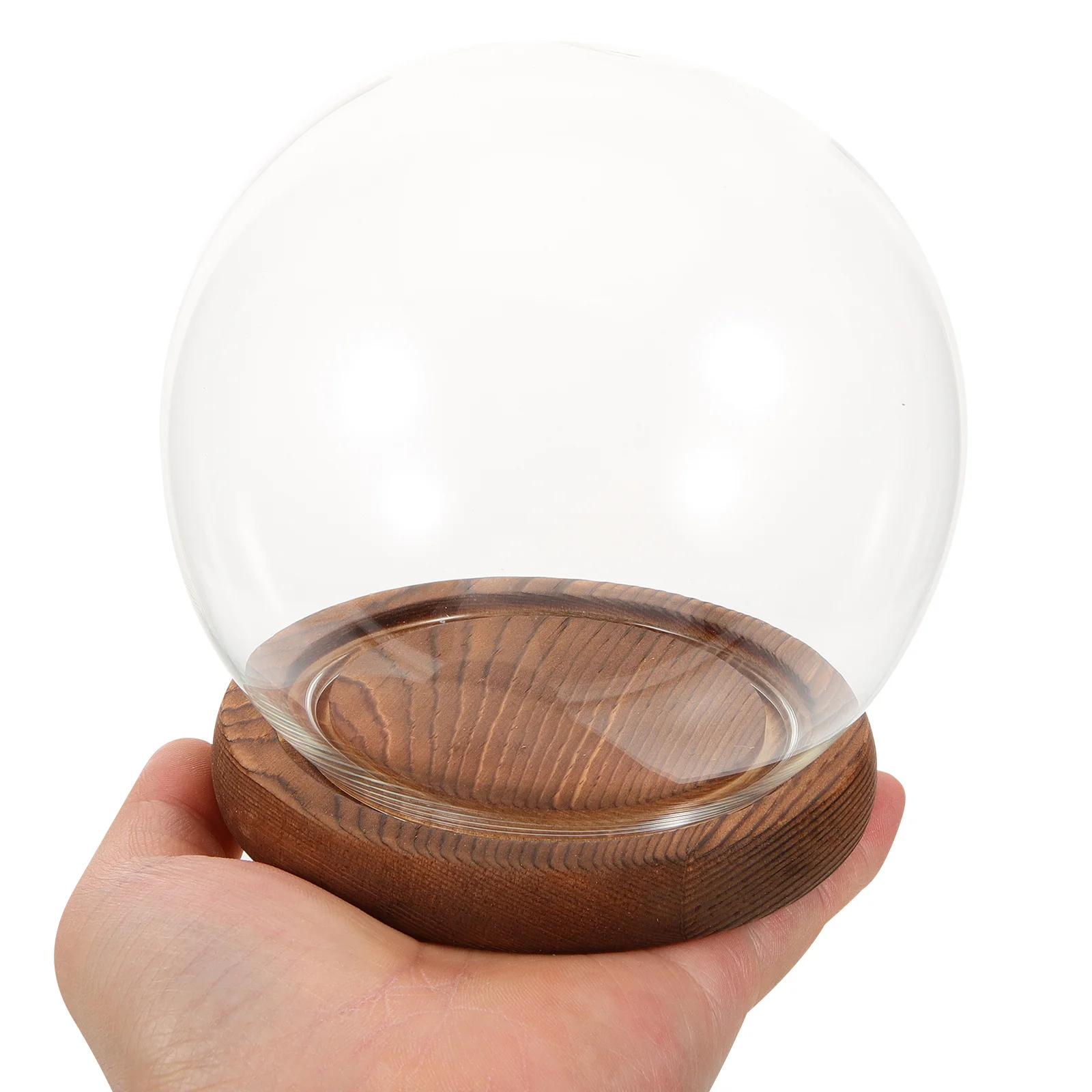 1Set Eternal Flower Glass Dome Round Shape Clear Display Case Vintage Wood Base Romantic Desktop Decor Valentine Gift