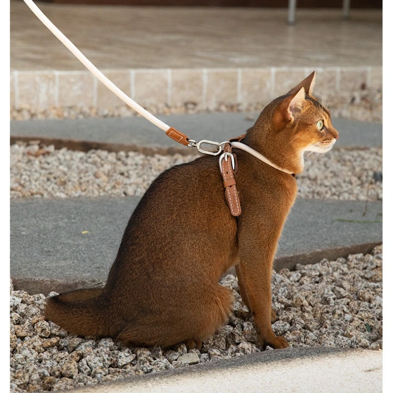 

4-Gear Leather Cat Harness & Leash Set, X-Shape Escape Proof Walking Harness for Cats, 33g Lightweight, 1.3m Rope