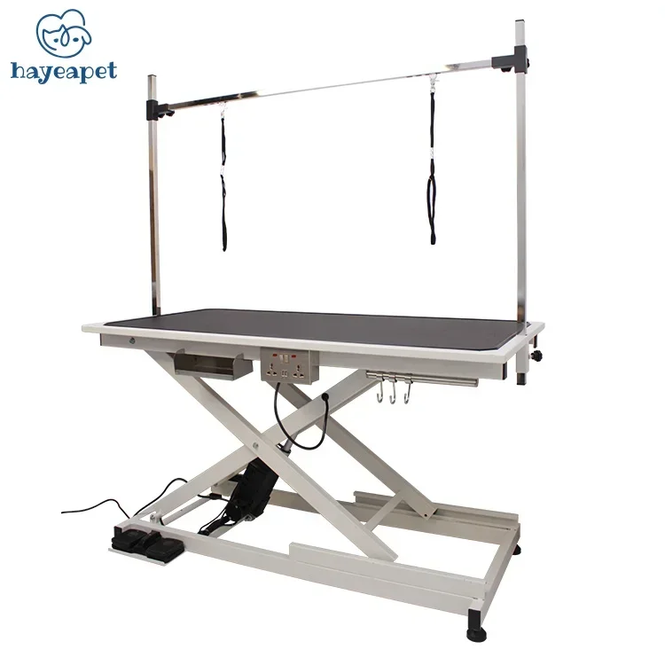 Low-Low Equipment That Electric Lifting TPet Able