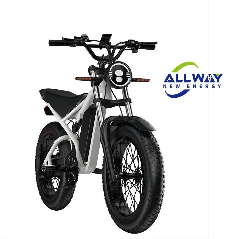 Allway CE Certificate Electric Bike 1000W 48V 16Ah Long Range Adult Ebike Bicycle