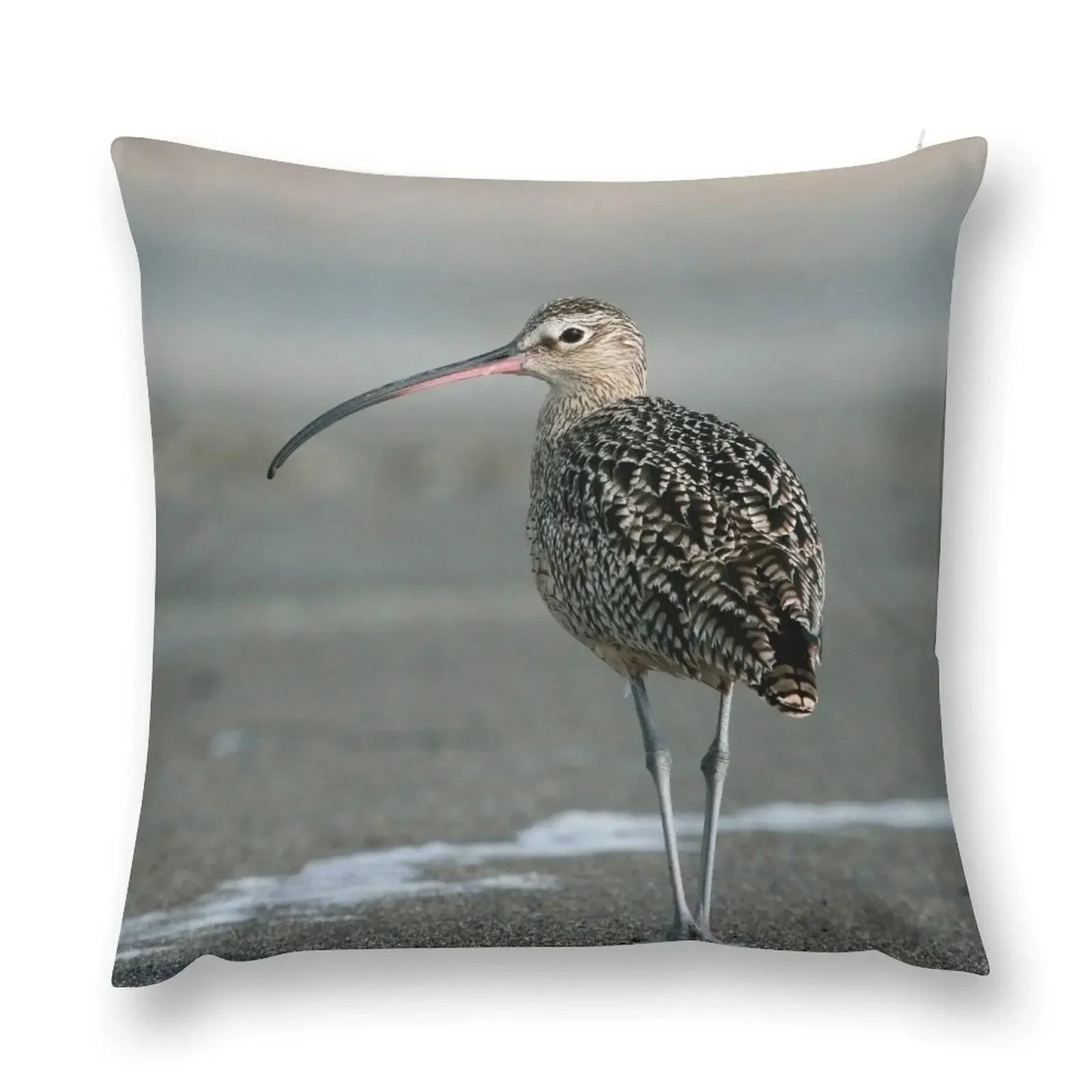 

Long-billed Curlew Throw Pillow bed pillows New year Pillowcase Cushion luxury sofa pillows pillow