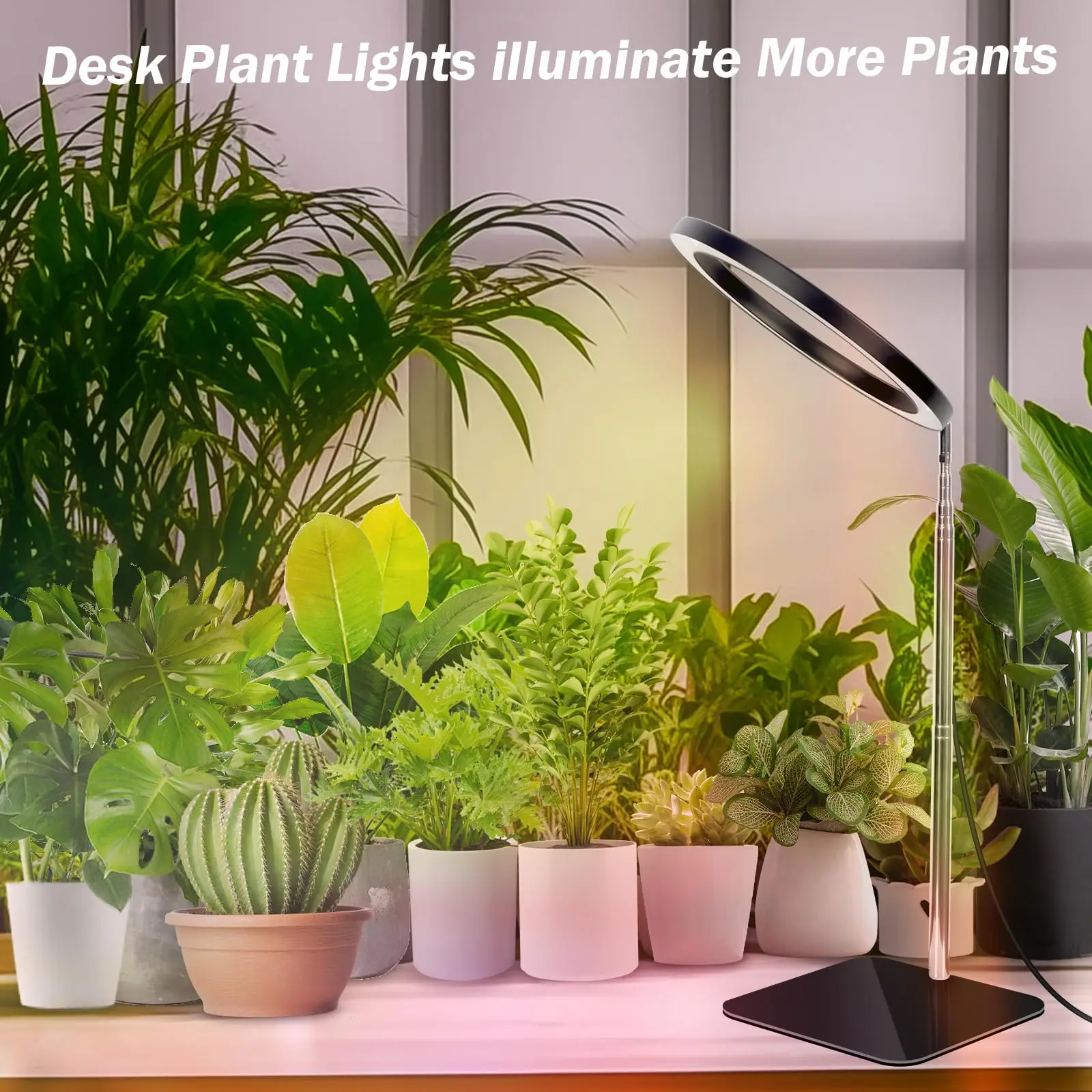 Grow Lights stehen für Zimmer pflanzen, 72leds 6000k Voll spektrum Höhe max 160cm einstellbar mit Auto-Ein/Aus-Timer 3/9/12h