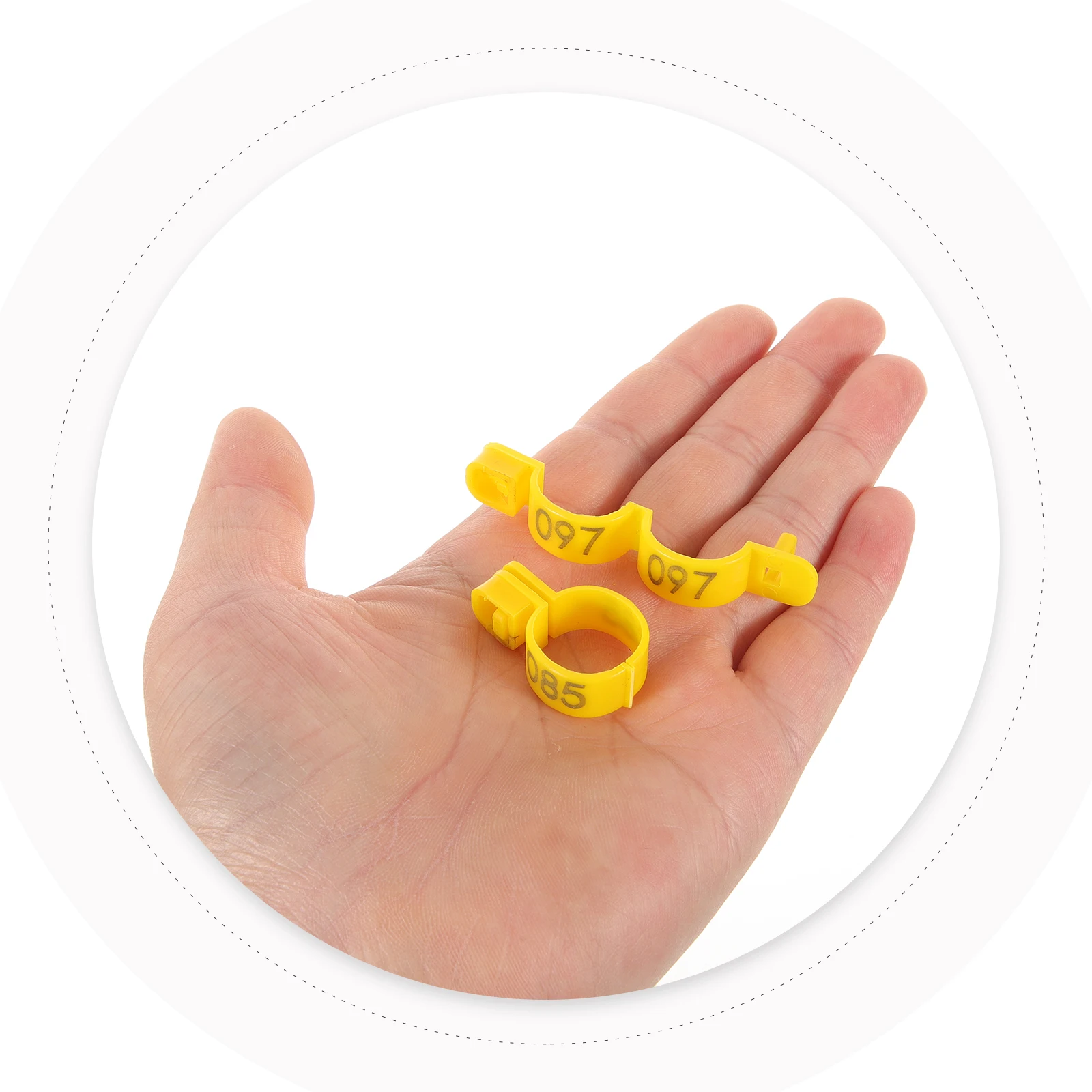 

100pcs Disposable Chicken Leg Rings Yellow Tags 1.6mm for Poultry Identification Bands Reusable PlasticChicken Accessories