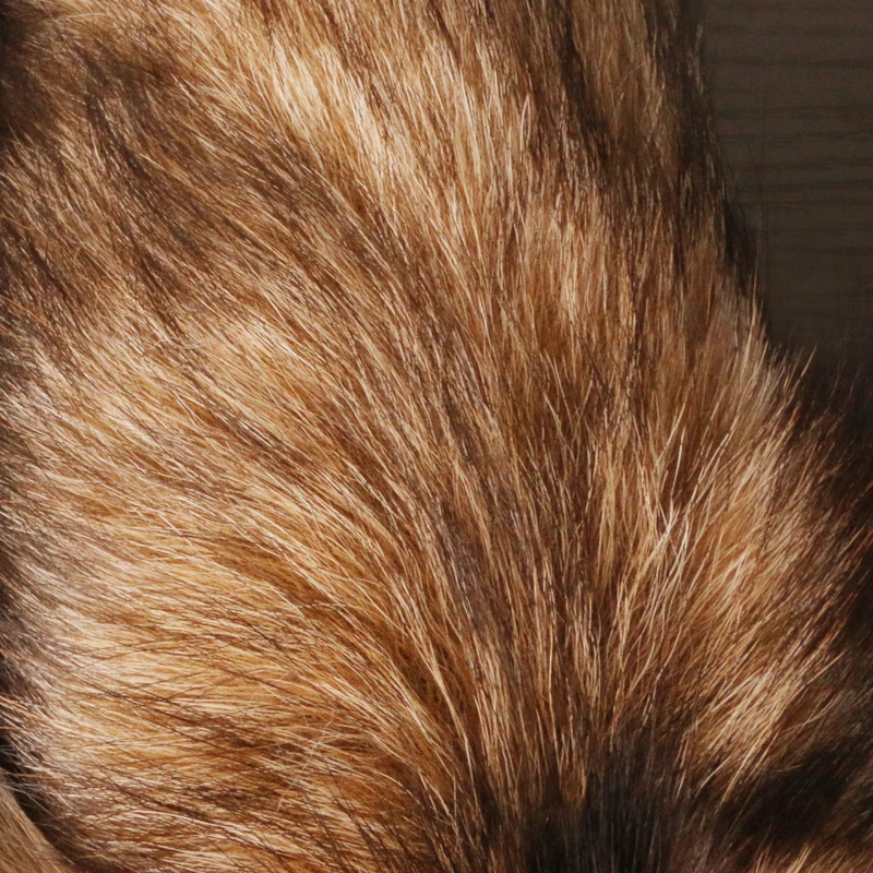 40 سنتيمتر الثعلب الذئب الفراء الذيل سلاسل المفاتيح للنساء الرجال فو كرة فرو قلادة كيرينغ حقيبة العرافة سيارة مفتاح سلسلة خواتم حقيبة يد اكسسوارات #3