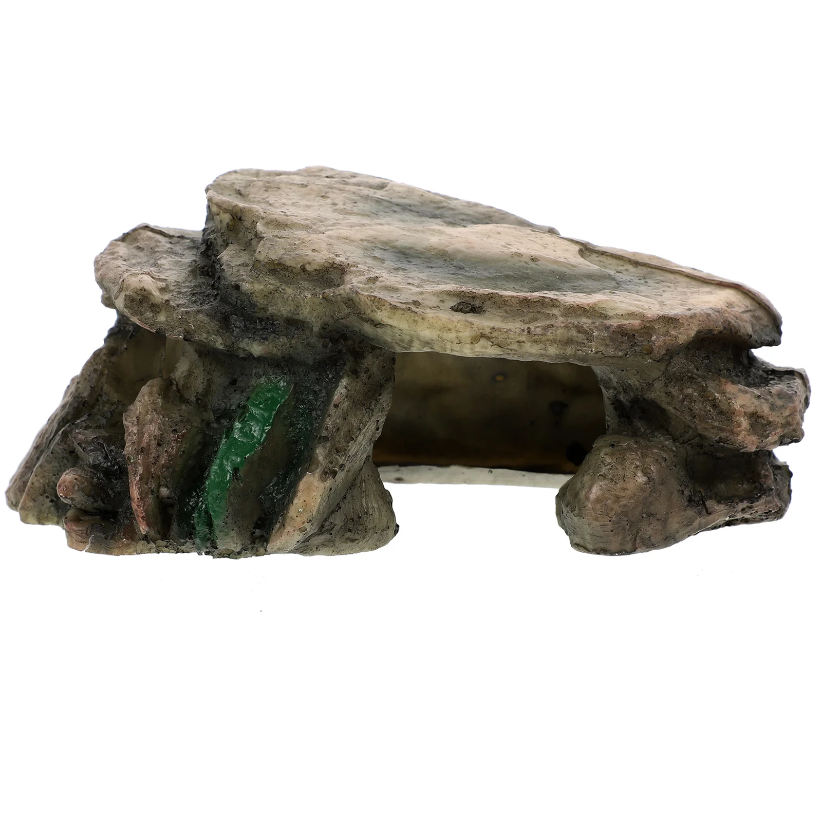 

Platform Cave Turtle Terrace Reptile Habitat Frog Aquatic Landscape Setting Baby