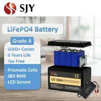 SJY Lithium iron phosphate 12V 24V 48V 100Ah 200Ah LiFePO4 battery pack for UPS/Boat/Golf Cart/RVs/Solar inverter system