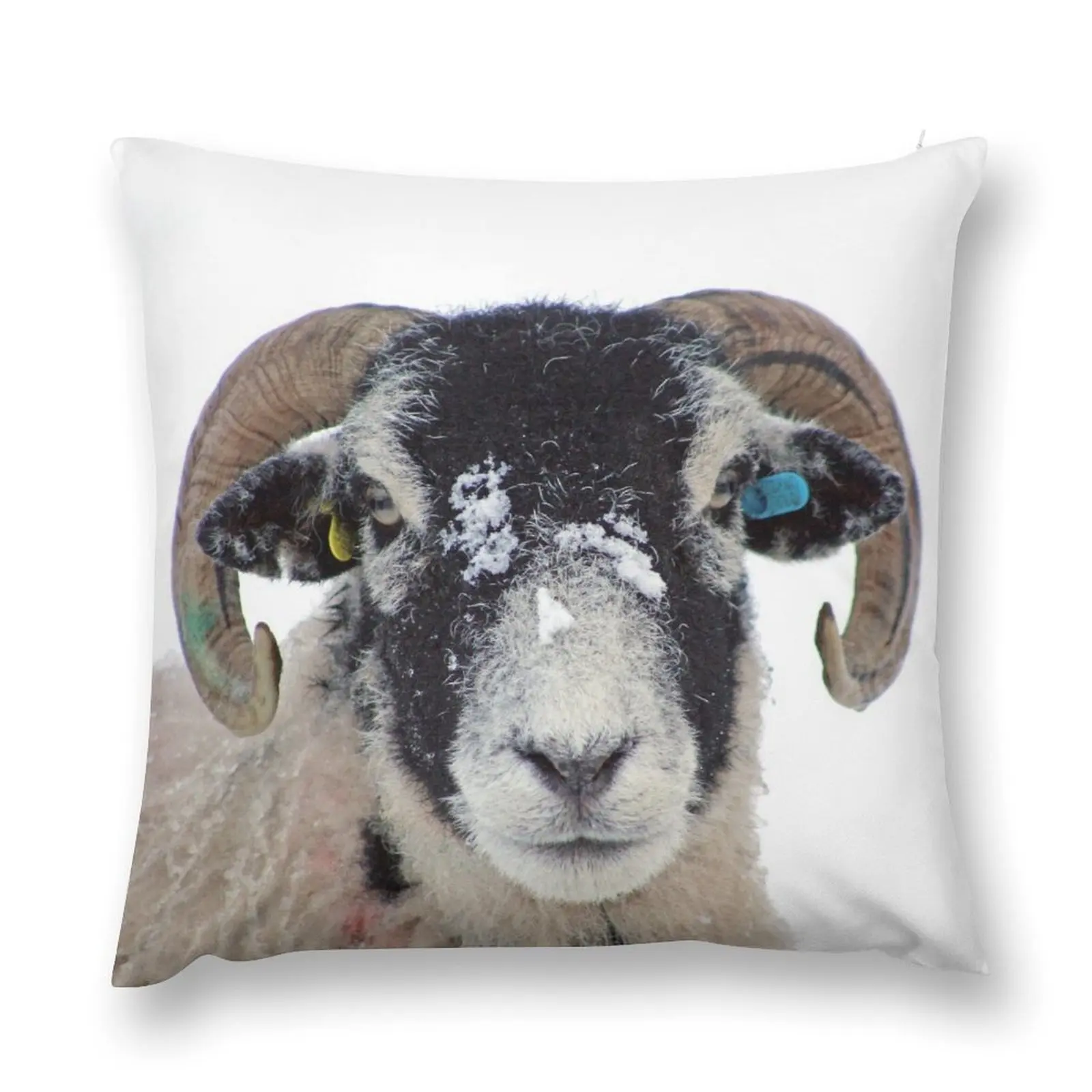 Swaledale Ewe in Snow Throw Pillow pillowcases for sofa cushions Christmas Covers luxury home accessories pillow