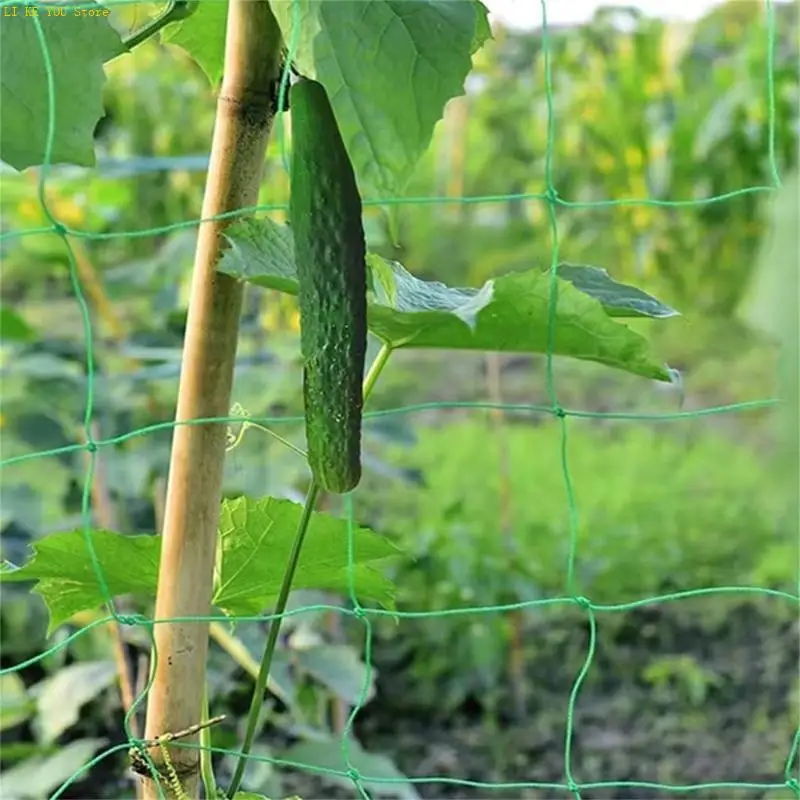 W3JE Garden Plant Trellis Netting Mesh Climbing Hydroponics Net for Climbing Plant
