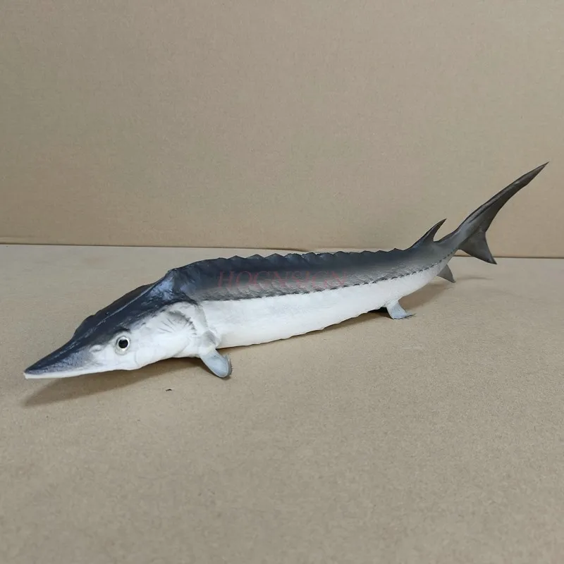 Simulation Pu Fake Sturgeon Seafood Food Fish Model Baby Toys Model Kitchen Decoration Props Teaching Materials Teaching Aids