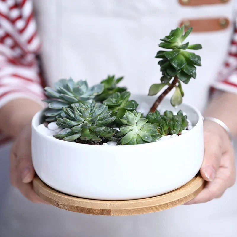 

Round White Ceramic Succulent Planter Pot Decorative Cactus Plant Pot Flower Container with Bamboo Tray Home Office Decoration