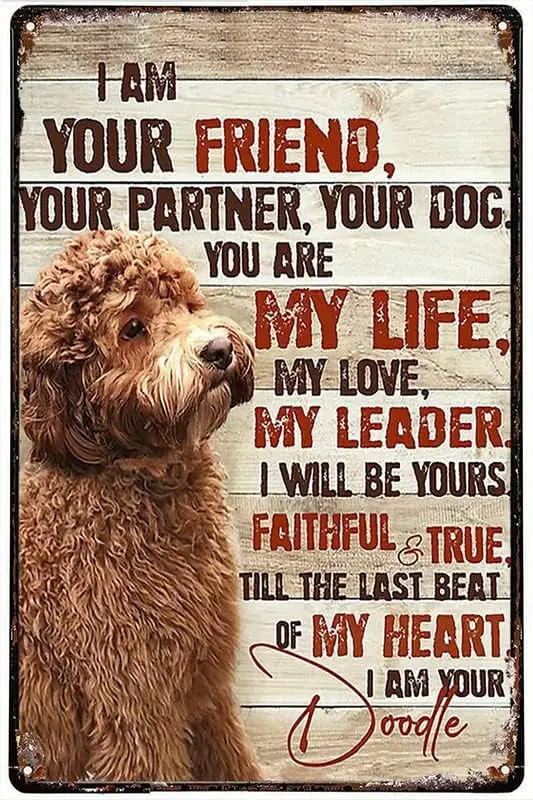 Letrero de metal divertido y original Goldendoodle I Am Your Friend Your Partner Your Dog, decoración de pared para bares, restaurantes, cafeterías