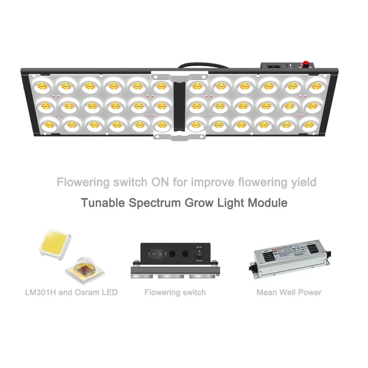 

Koray Factory Latest Design Waterproof IP65 Grow Light for Tent Plants Growing Lamp