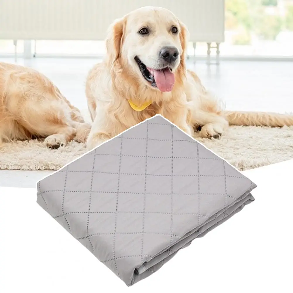 

Exquisite Stylish Indeformable Machine Washable Dog Blanket Wear-resistant Pet Training Pad Foldable for Puppy Shop