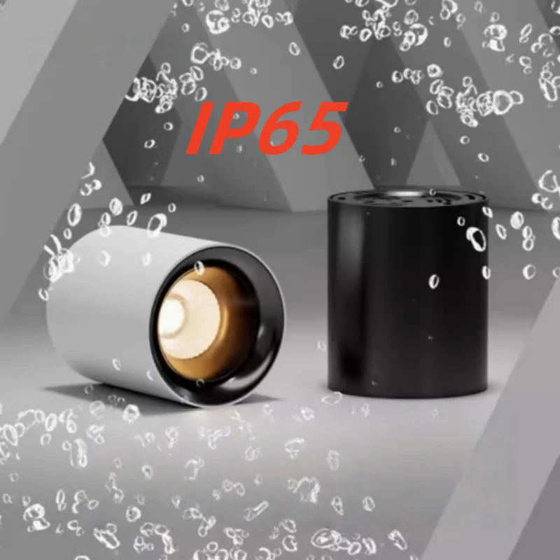 

Waterproof downlight for outdoor installation on the facade of a station platform, rain shelter, or sunroom. IP65 rating