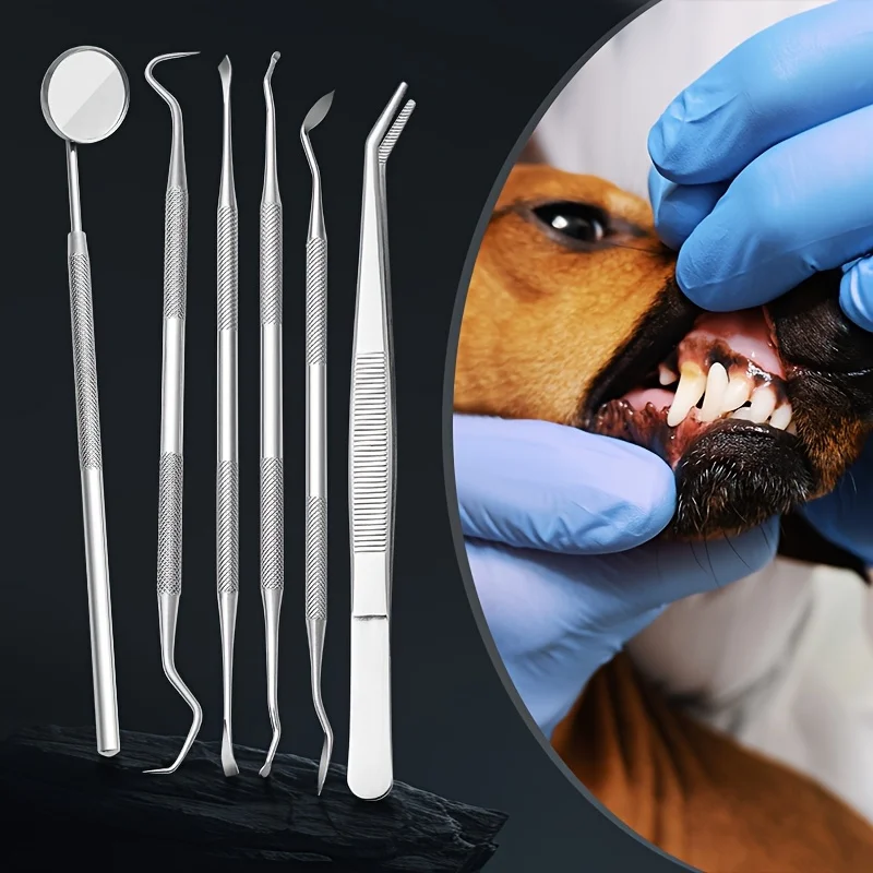 6pcs Soundwave Tartar Remover for Dogs and Cats | Dental Cleaning and Tartar Kit | Teeth Cleaner.6pcs Soundwave Tartar Remover