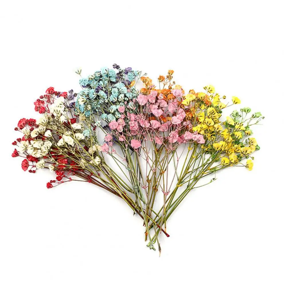 12 szt. Mini suszony babybreath bukiety kwiatowe trwały realistyczny kolorowy suszony kwiat Gypsophila ślubna dekoracja domu