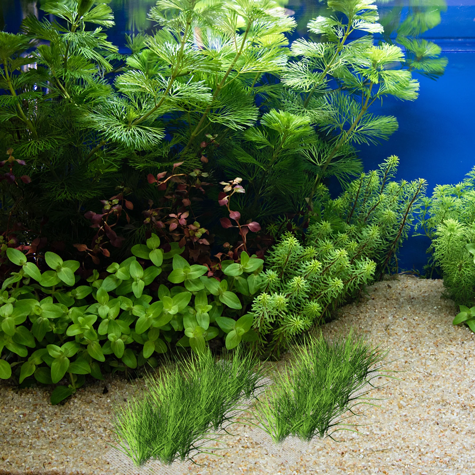 

10pcs Stainless Steel Mesh Moss Wall For Aquarium Durable Fish Tank Aquatic Moss Mesh Seaweed Carpet Pet Supplies