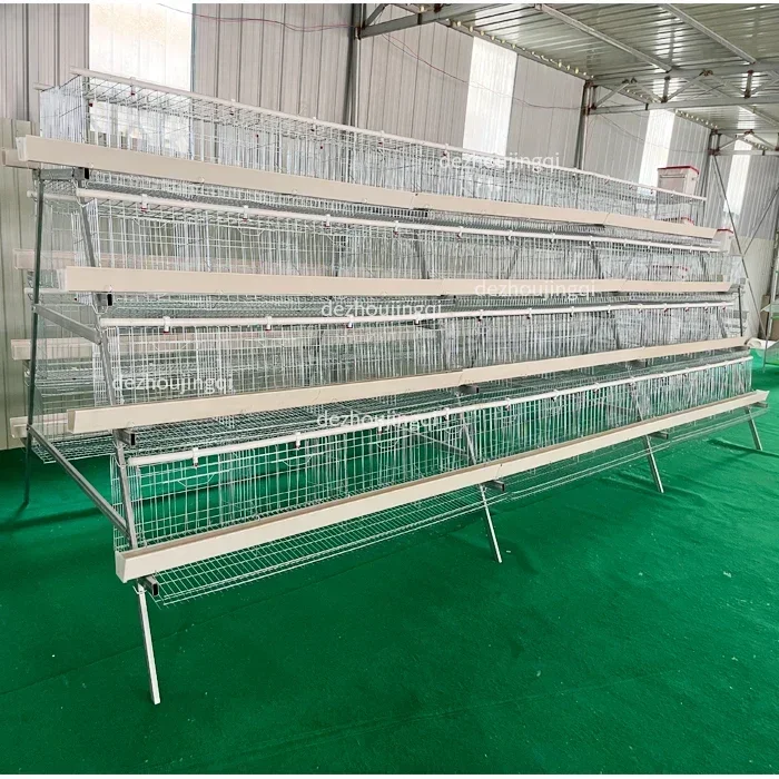 A Type Laying Hen Cage High Productivity Three Tiers and Four Layers for Up To 160 Chickens Cold Galvanized Chicken Cage