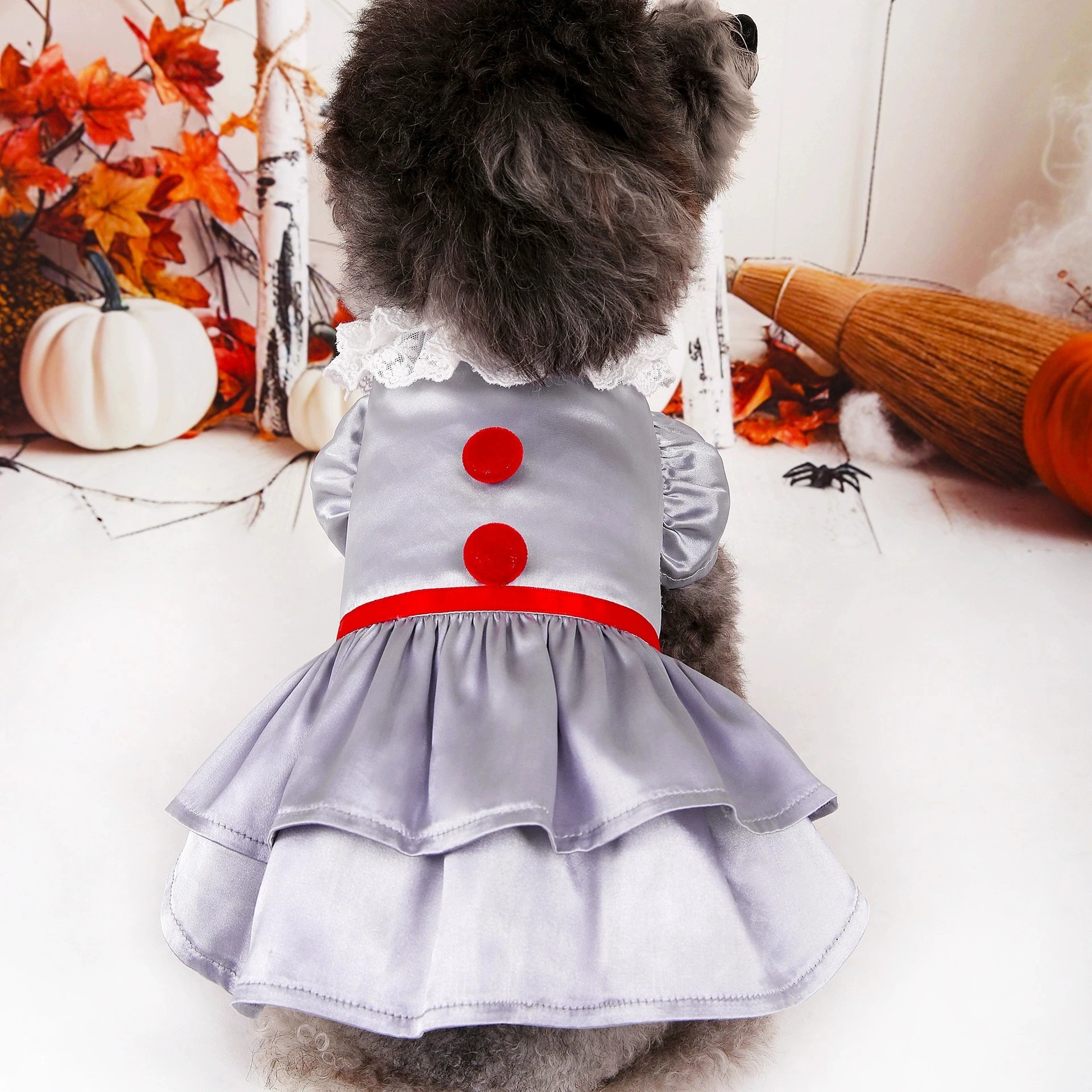 Thumbnail 2 - #23 Pet Apparels Discount Picks