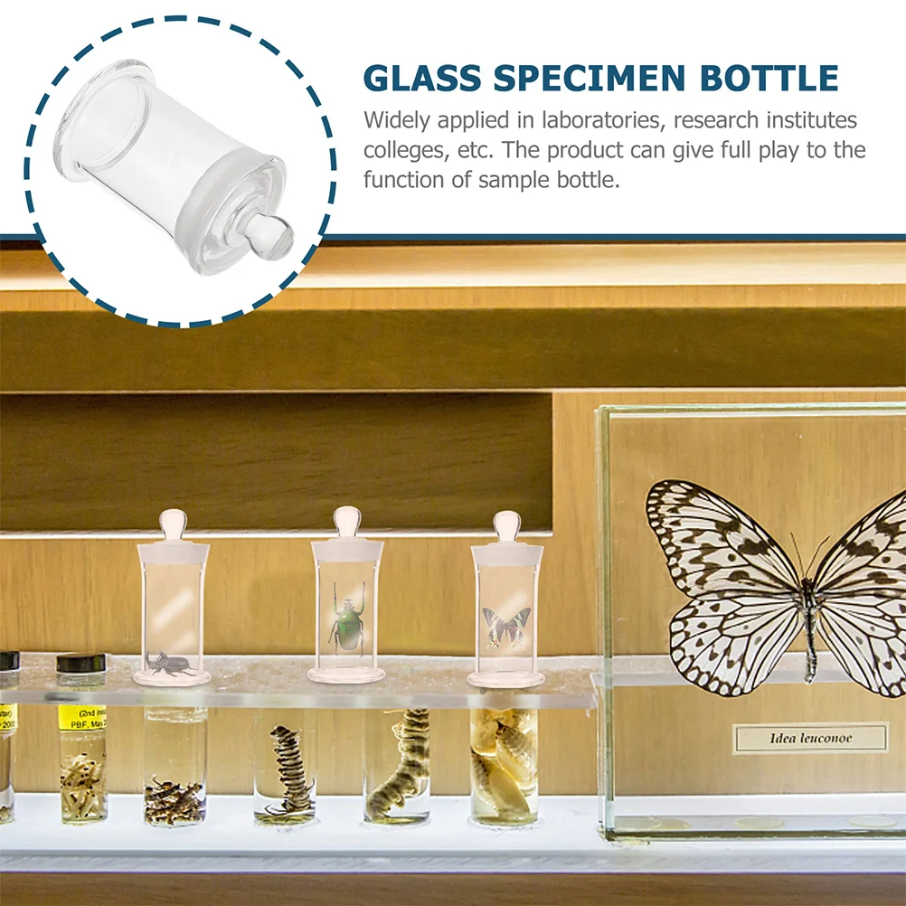 

2Pcs Clear Thickened Glass Specimen Bottle Heat Resistant Laboratory Sealing Container for Experiments Storage Chemistry Class