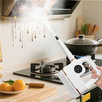 Puppy steam cleaner high temperature and pressure washer kitchen oil stain sterilization and mite removal multi-functional