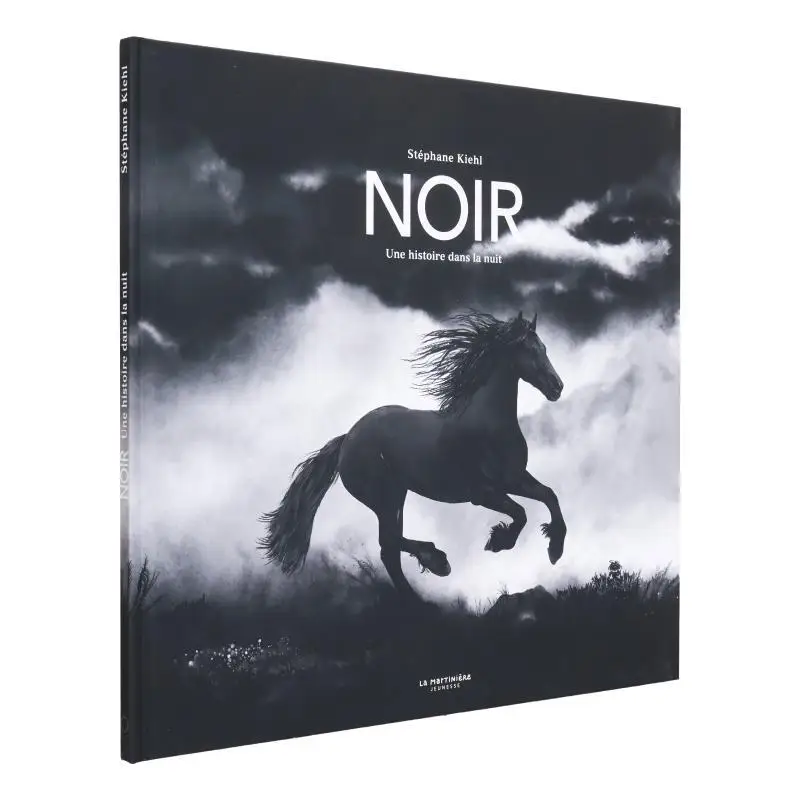 

Noir Stephane Kiehl La Martiniere Youth 9791040111962 Book
