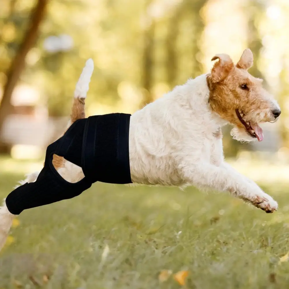

Dog Hip Knee Leg Brace Adjustable Dog ACL Brace For Back Hind Rear Legs Torn Tear Hip Dysplasia Arthritis Pet Knee Protector